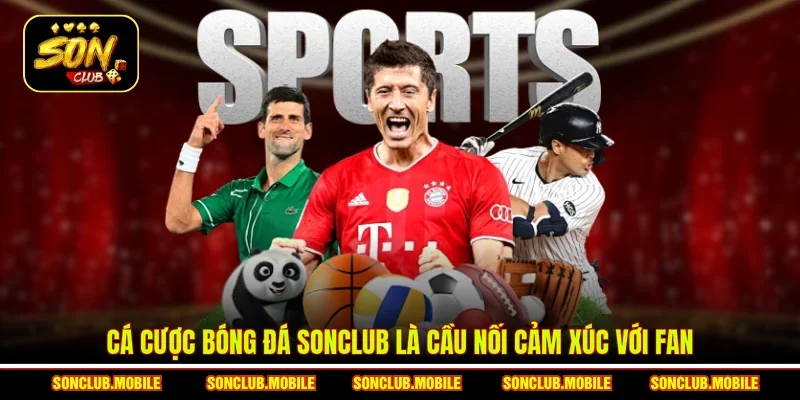 Cá cược bóng đá SonClub là cầu nối cảm xúc với fan